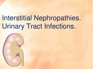 Interstitial Nephropathies. Urinary Tract Infections.