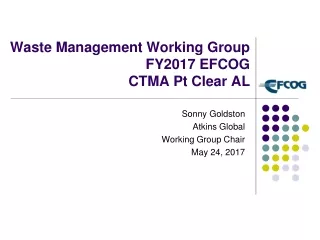 Waste Management Working Group  FY2017 EFCOG  CTMA Pt Clear AL