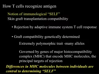 Notion of immunological “SELF”