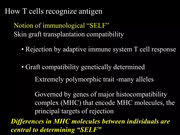 how t cells recognize antigen