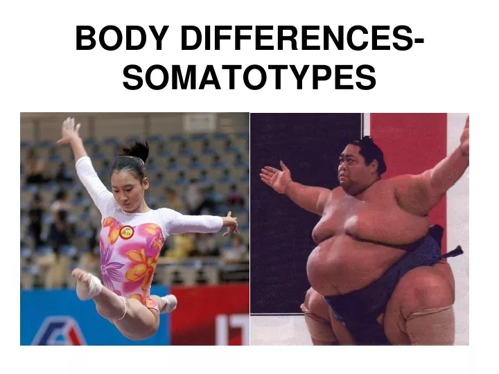 body differences somatotypes