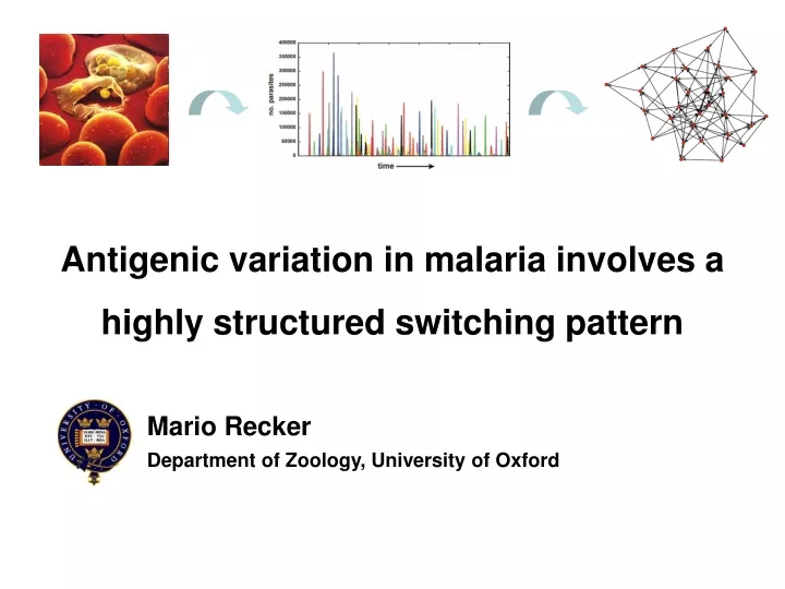 antigenic variation in malaria involves a highly