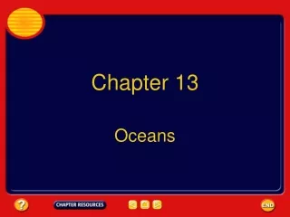 Chapter 13