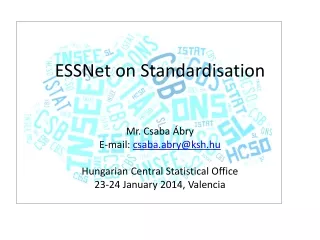 ESSNet on Standardisation