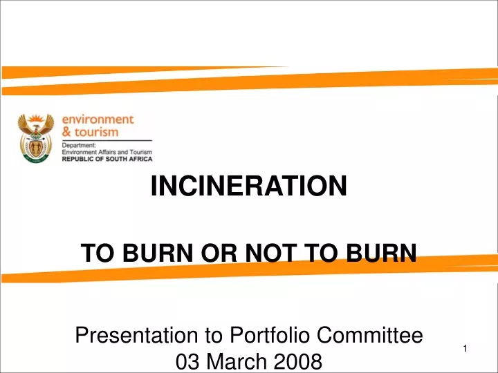 incineration to burn or not to burn presentation to portfolio committee 03 march 2008