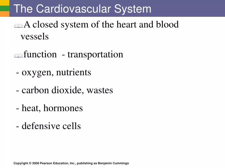 the cardiovascular system