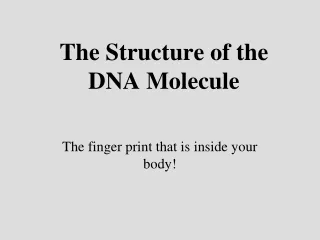 The Structure of the DNA Molecule