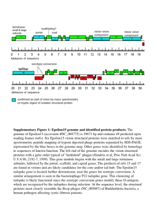 Genome map