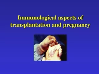 Immunological aspects of transplantation and pregnancy