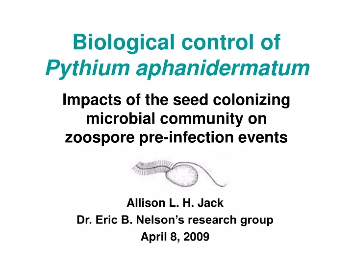 biological control of pythium aphanidermatum