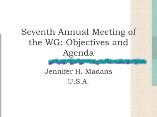 Seventh Annual Meeting of the WG: Objectives and Agenda