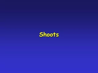 Shoots