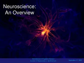 Neuroscience: An Overview
