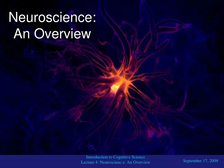 neuroscience an overview