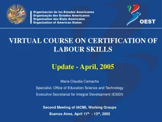 VIRTUAL COURSE ON CERTIFICATION OF LABOUR SKILLS Update - April, 2005