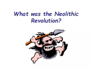 What was the Neolithic Revolution?
