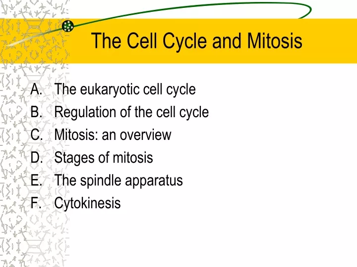 the cell cycle and mitosis
