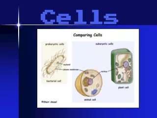 Cells