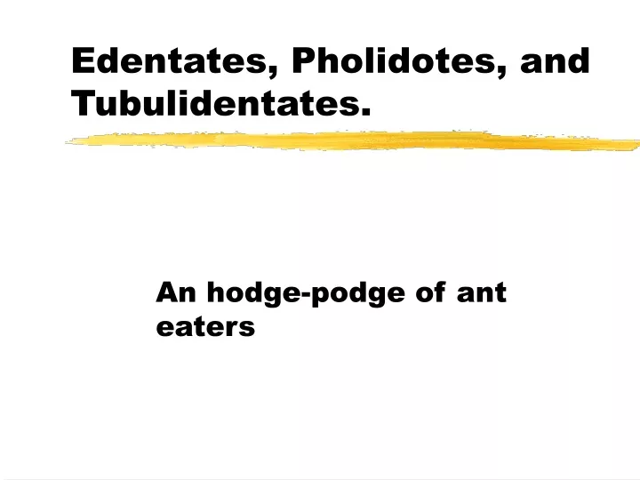 edentates pholidotes and tubulidentates