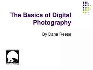 The Basics of Digital Photography