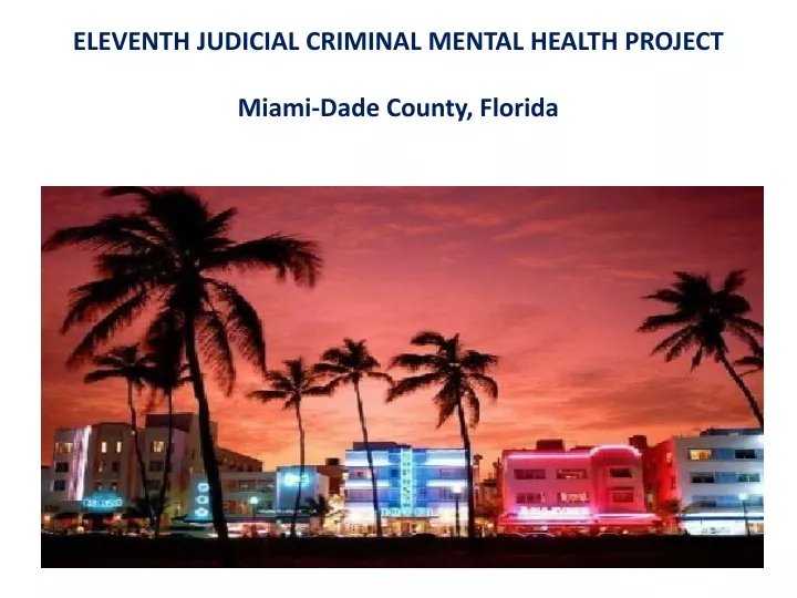 eleventh judicial criminal mental health project miami dade county florida