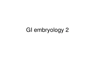 GI embryology 2