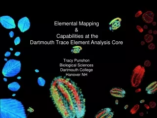 Elemental Mapping &amp;  Capabilities at the  Dartmouth Trace Element Analysis Core Tracy Punshon