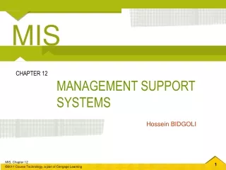 MANAGEMENT SUPPORT SYSTEMS