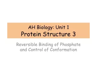 AH Biology: Unit 1 Protein Structure 3