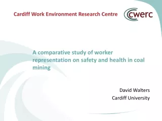 A comparative study of worker representation on safety and health in coal mining
