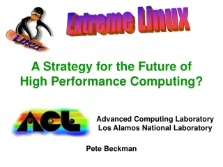 A Strategy for the Future of  High Performance Computing?