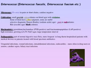 Enterococcus  ( Enterococcus faecalis ,  Enterococcus faecium etc .)