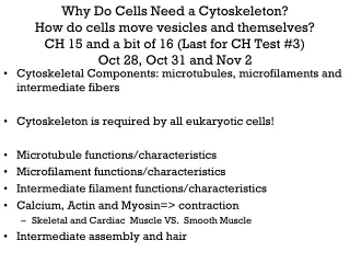 Cytoskeletal Components: microtubules, microfilaments and intermediate fibers