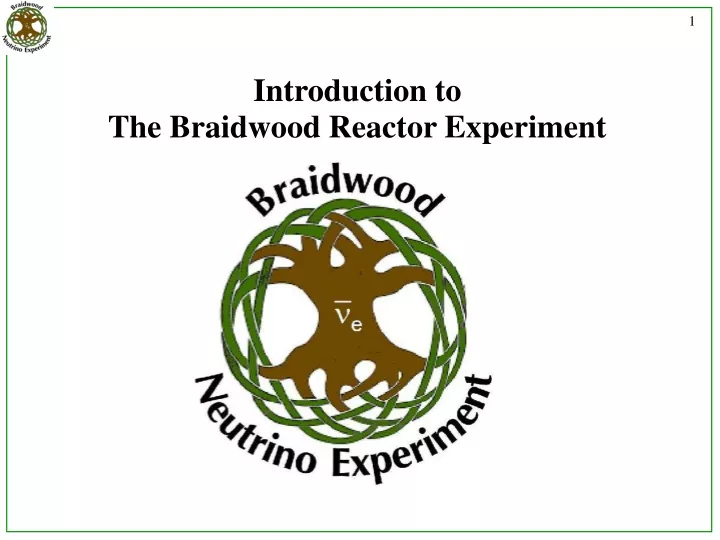 introduction to the braidwood reactor experiment