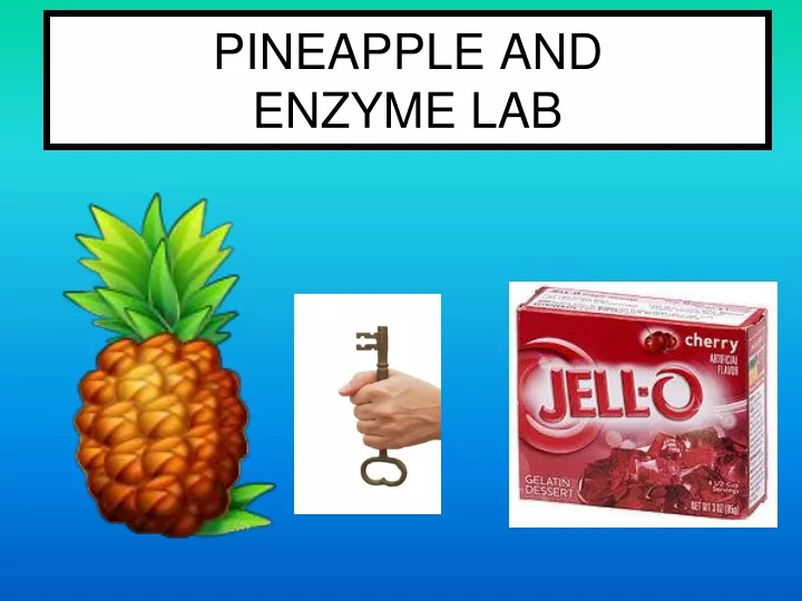 pineapple and enzyme lab