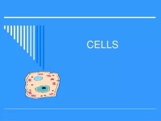 CELLS