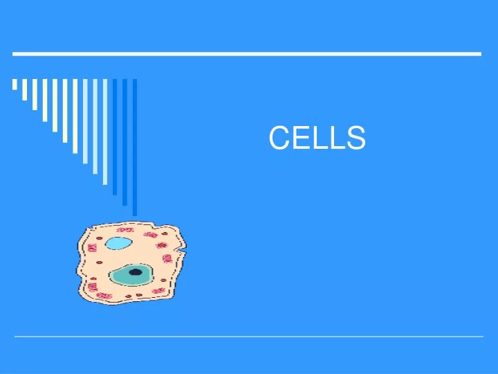 cells