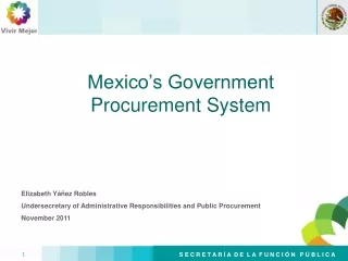 Mexico’s Government Procurement System
