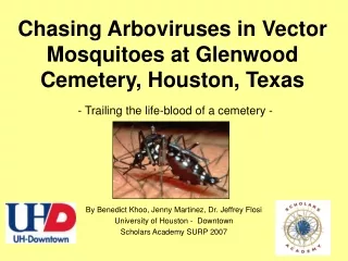Chasing Arboviruses in Vector Mosquitoes at Glenwood Cemetery, Houston, Texas