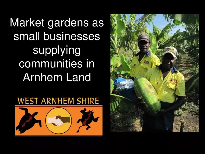 market gardens as small businesses supplying communities in arnhem land