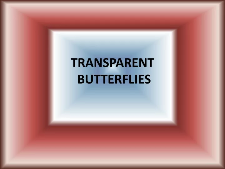 transparent butterflies