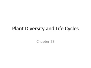 Plant Diversity and Life Cycles