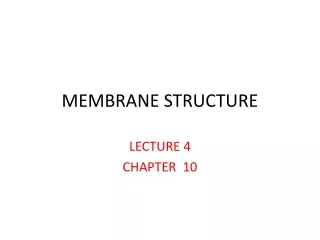MEMBRANE STRUCTURE