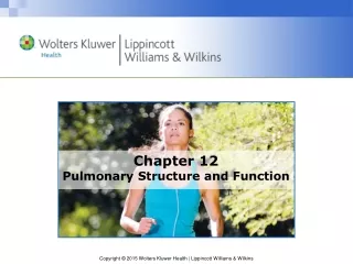 Chapter 12 Pulmonary Structure and Function