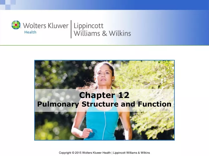 chapter 12 pulmonary structure and function