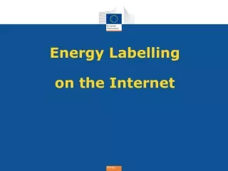 Energy Labelling on the Internet