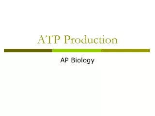 ATP Production