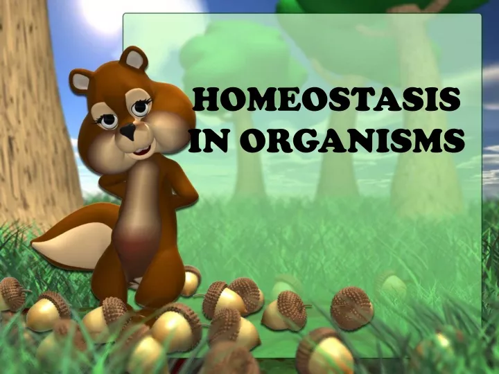 homeostasis in organisms