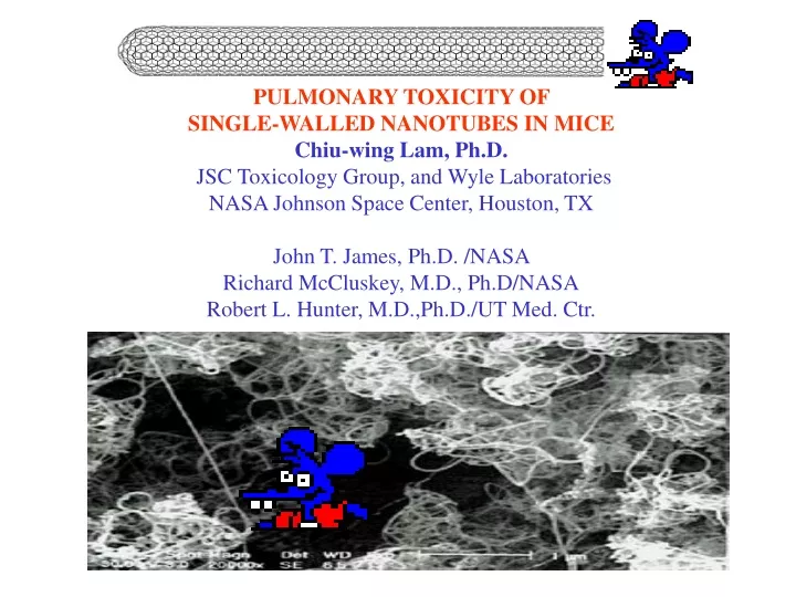 pulmonary toxicity of single walled nanotubes