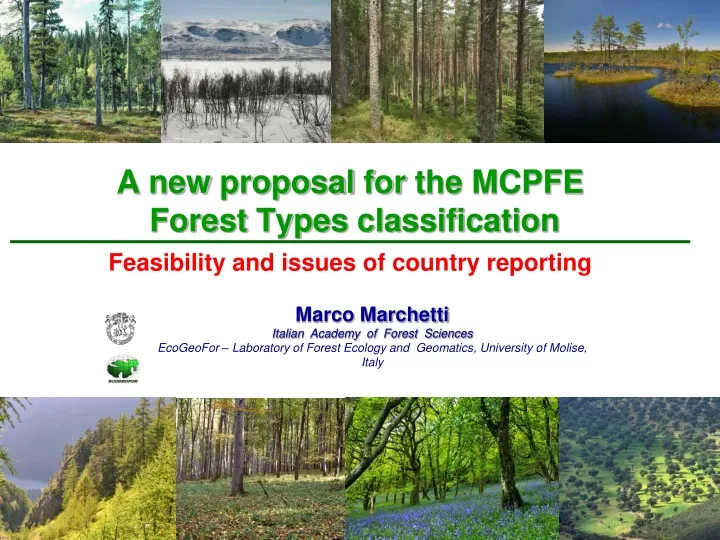 a new proposal for the mcpfe forest types classification
